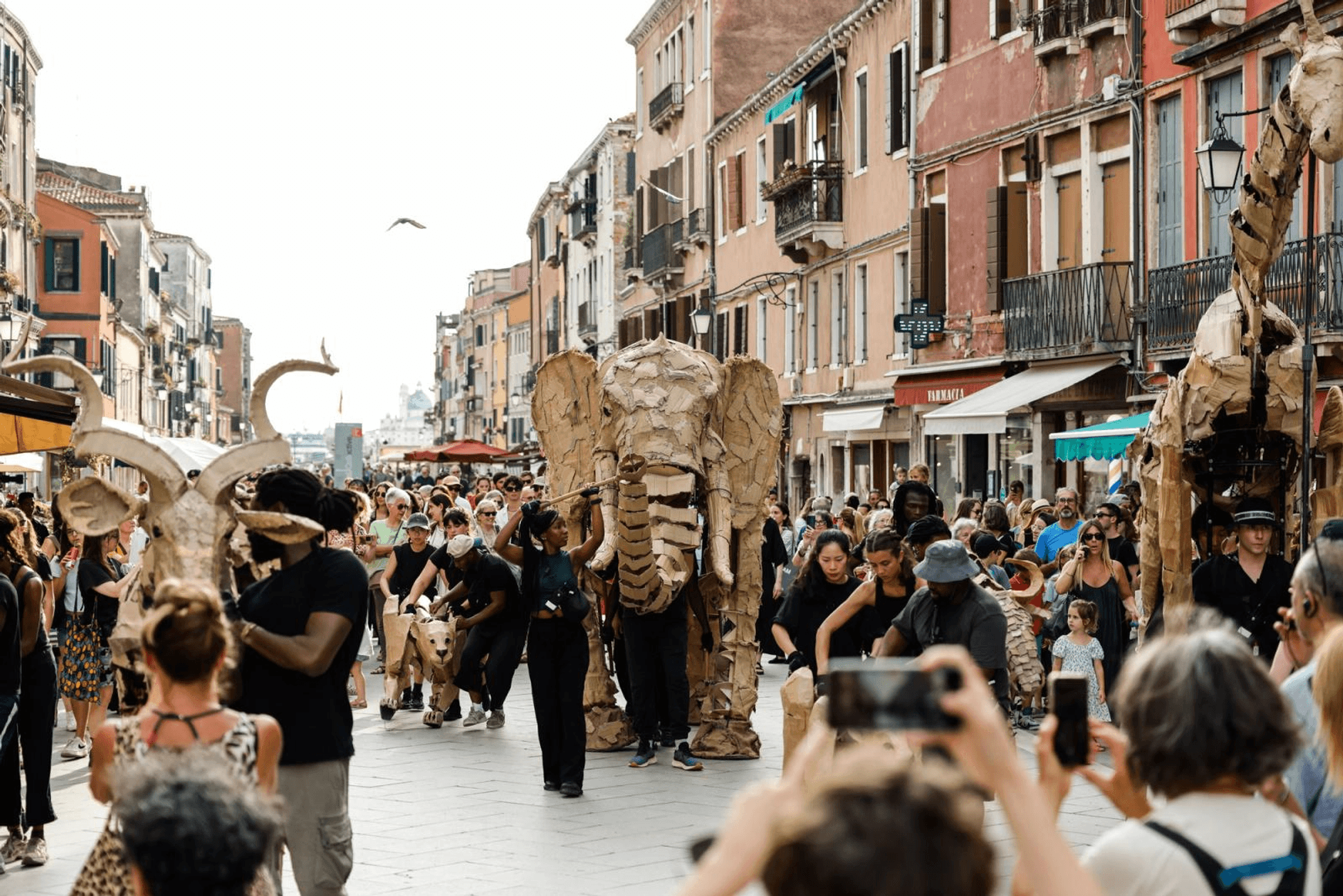 The Herds performance in the city of Venice.