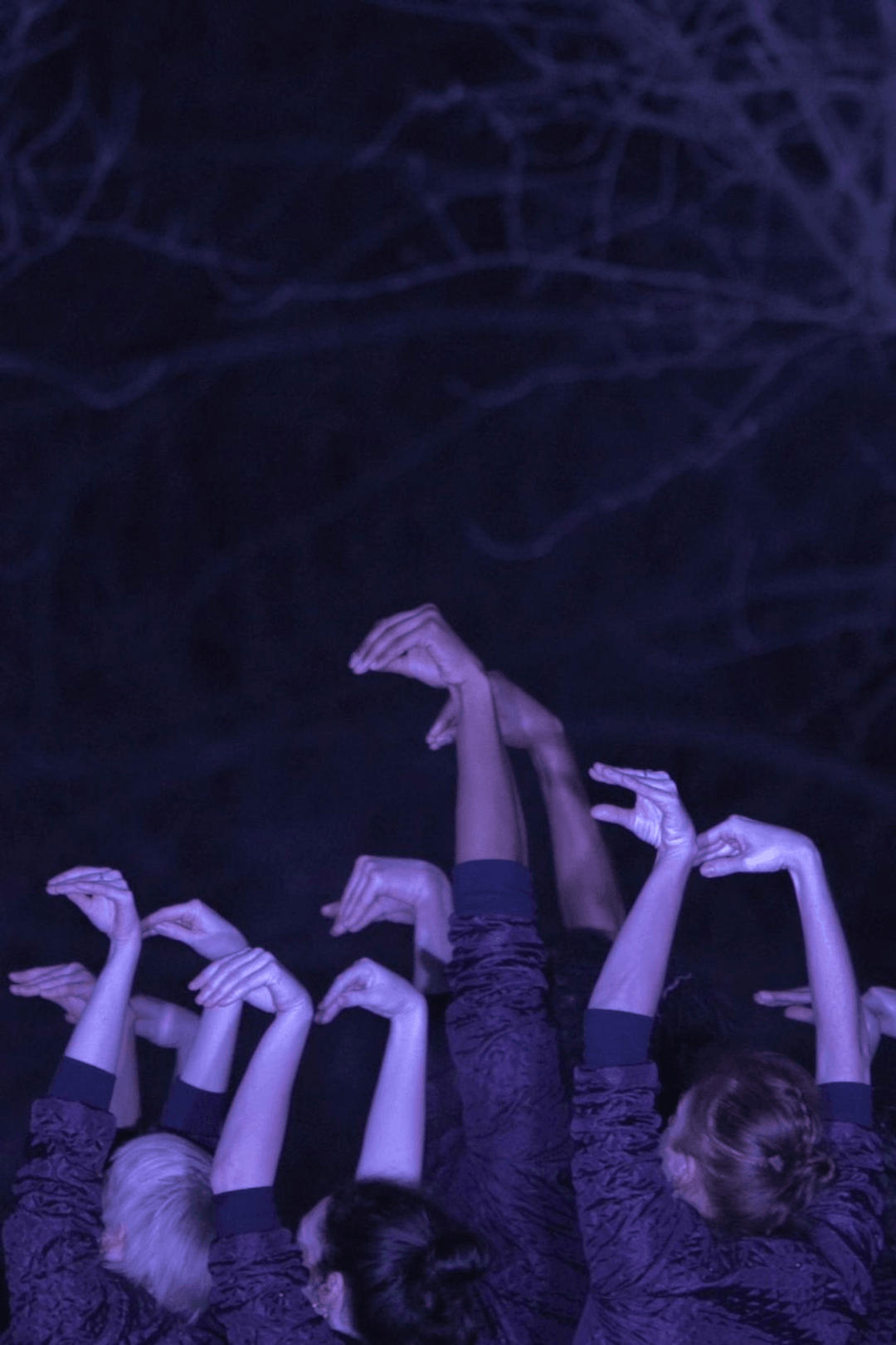 Murmuration by Le Patin Libre. The performance captures the essence of synchronized motion and collective fluidity.